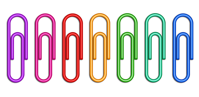 paper clips/pack